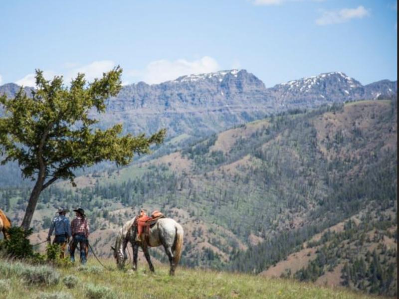 Wyoming Dude And Guest Ranches A Curated List