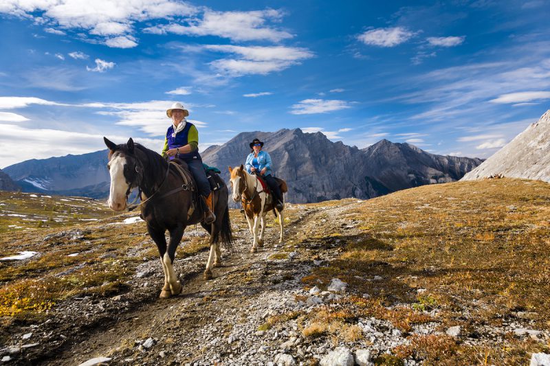 Banff Trail Riders - Horses