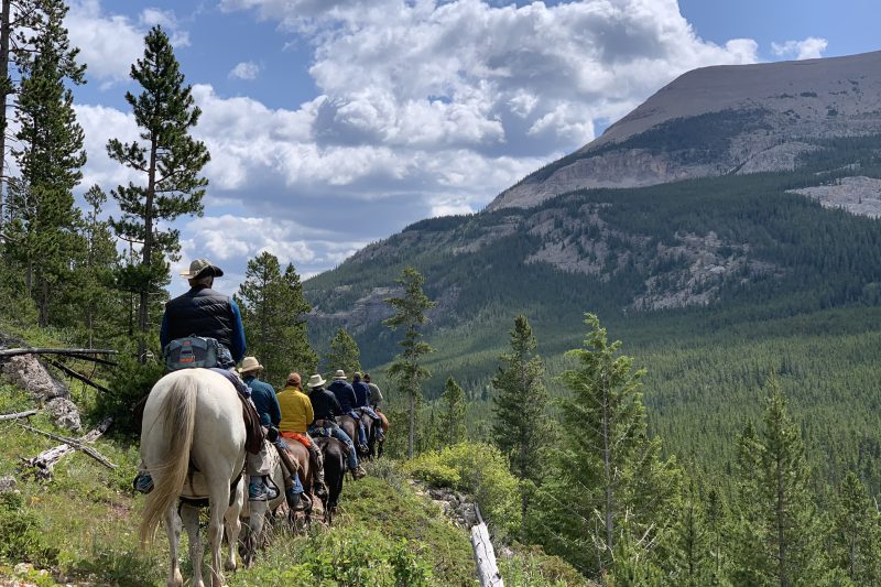 Benchmark Wilderness Guest Ranch - Pack String