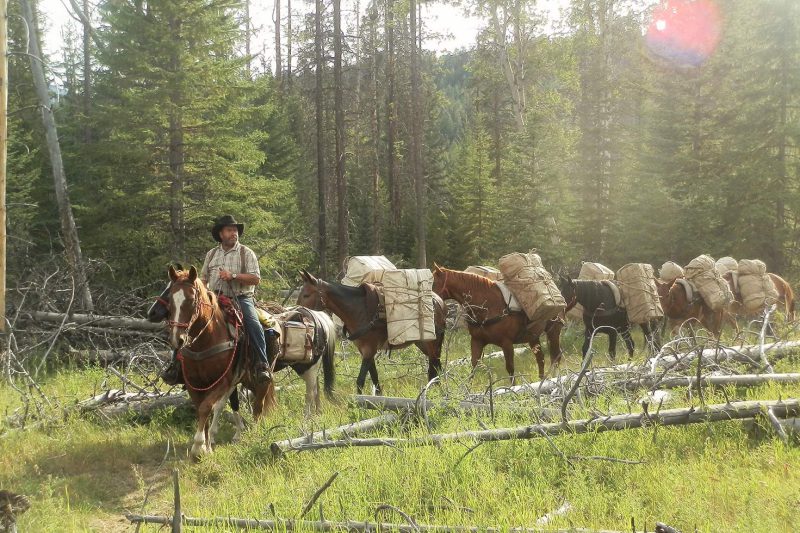 Benchmark Wilderness Guest Ranch - Pack String