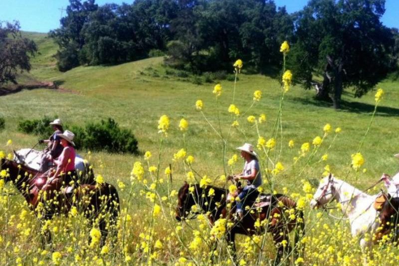 Alisal Guest Ranch & Resort - Horseback riding