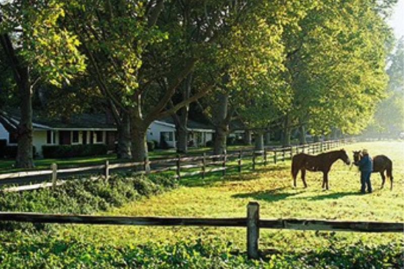 Alisal Guest Ranch & Resort - Horses
