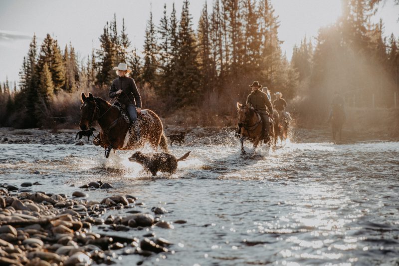 Big Creek Lodge - Creek