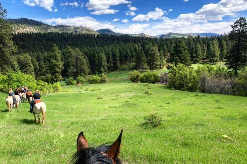 Colorado Trails Ranch - Durango