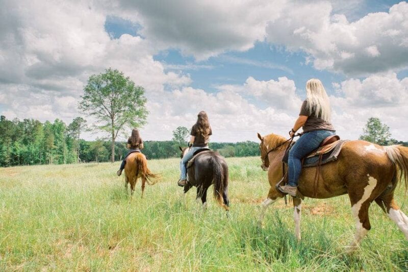 Callidora Ranch - GA - Horseback Riding