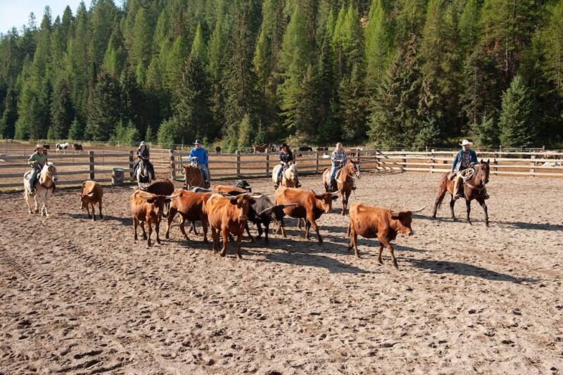 Bar W Guest Ranch - MT