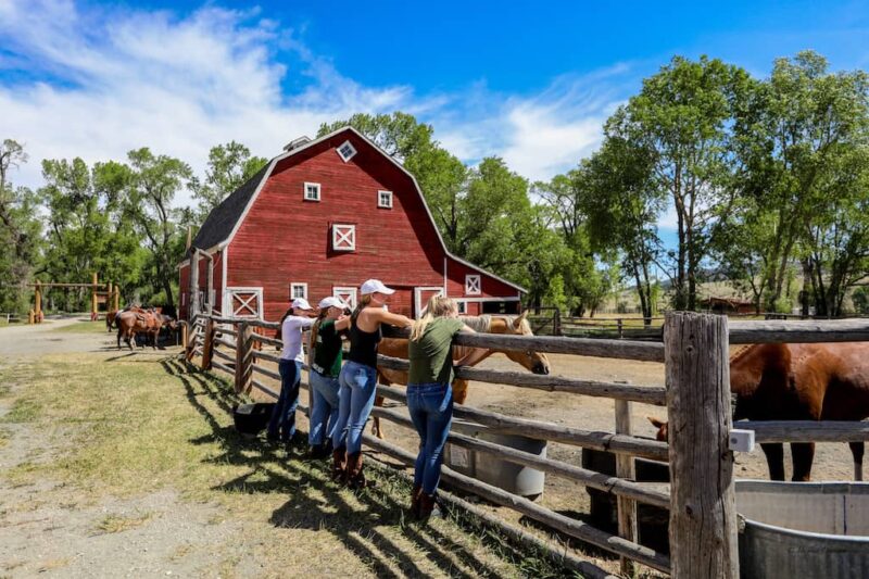 Circle Bar Guest Ranch - Barn