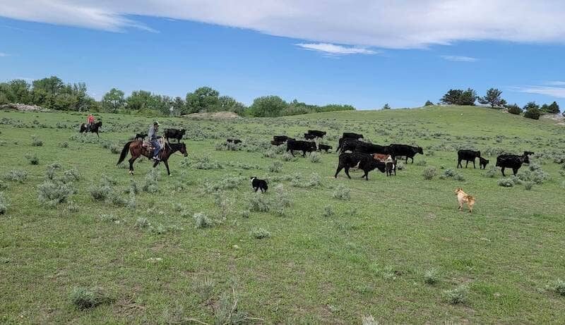 Cottonwood Creek Ranch - Wyoming