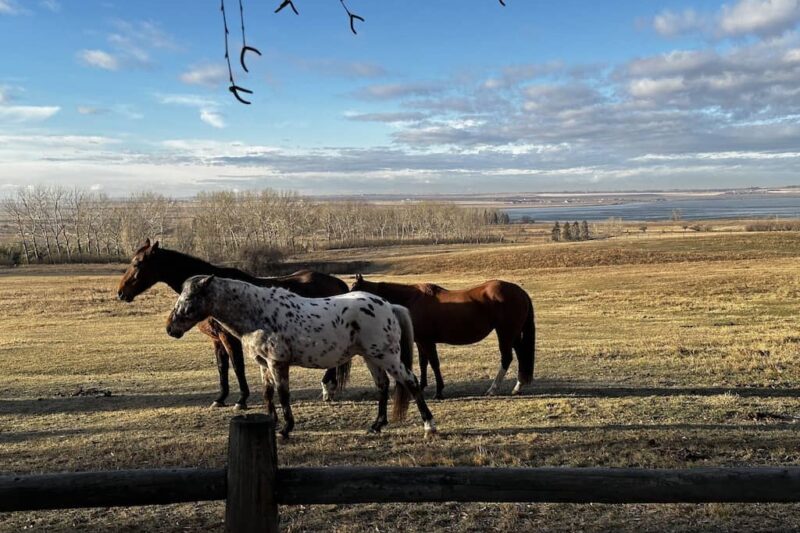 Rocking R Guest Ranch - Alberta, Canada