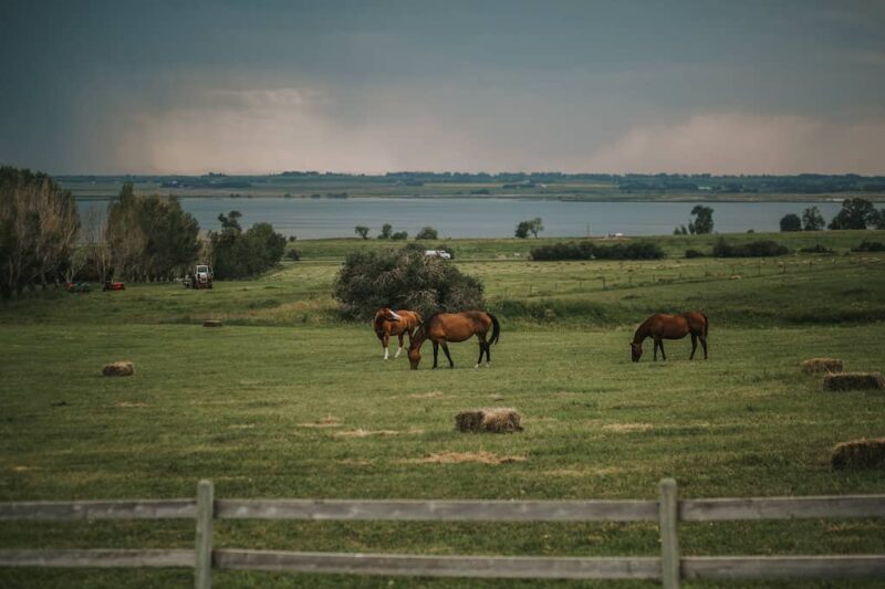 Rocking R Guest Ranch - Alberta, Canada