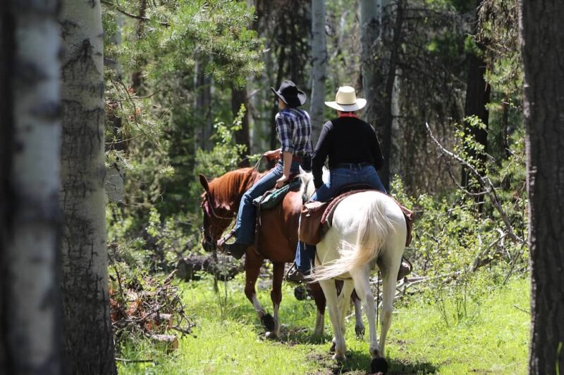 Siwash Lake Ranch - BC CAN