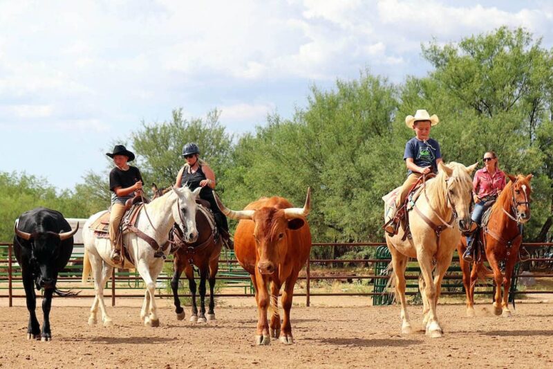 Tombstone Monument Ranch - Team Penning